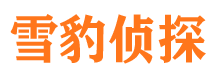 桦甸市侦探公司